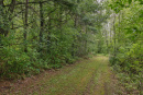 E1317LarsonRd-37.jpg