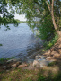 FerryPointRiver.jpg