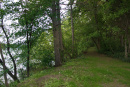 FerryPointYardTrail.jpg