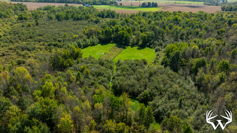 Foodplot_drone.jpg