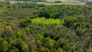 Foodplot_drone.jpg
