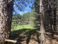 IMG_0289.jpeg
