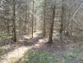 IMG_0316.jpeg