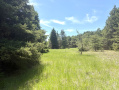 IMG_0322.jpeg