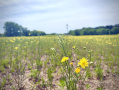IMG_0433.jpeg