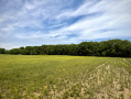 IMG_0437.jpeg
