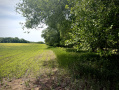 IMG_0438.jpeg