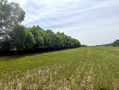 IMG_0440.jpeg