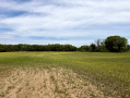 IMG_0445.jpeg