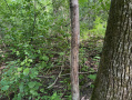 IMG_0457.jpeg