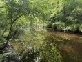 IMG_0459.jpeg