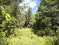 IMG_0660.jpeg