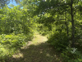IMG_0661.jpeg