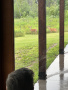 IMG_1490.jpeg