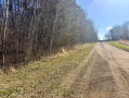 IMG_2621.jpeg