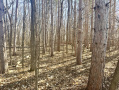 IMG_2624.jpeg