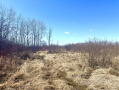 IMG_2628.jpeg