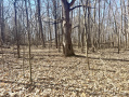 IMG_2637.jpeg