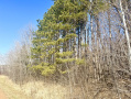 IMG_2642.jpeg