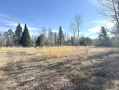 IMG_2735.jpeg
