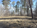 IMG_2741.jpeg