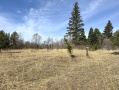 IMG_2743.jpeg