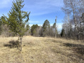 IMG_2744.jpeg
