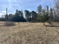 IMG_2745.jpeg