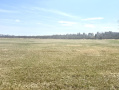 IMG_2782.jpeg