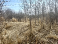 IMG_2784.jpeg