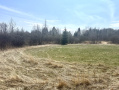 IMG_2785.jpeg