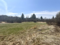 IMG_2786.jpeg