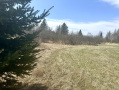 IMG_2787.jpeg