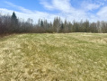 IMG_2788.jpeg