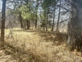 IMG_2791.jpeg