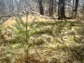 IMG_2792.jpeg