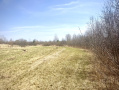 IMG_2793.jpeg