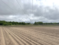 IMG_2964.jpeg