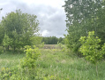 IMG_2975.jpeg