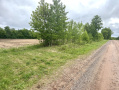 IMG_2982.jpeg