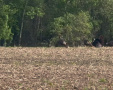 IMG_3075_1.jpeg