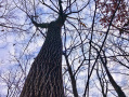 IMG_4740002.jpg