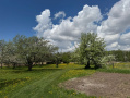 IMG_6970.jpg