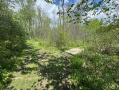 IMG_6974.jpg