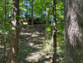 IMG_7267.JPG
