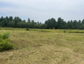 IMG_7598.jpg