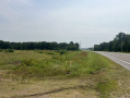 IMG_7601.jpg