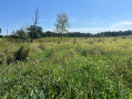 IMG_7852.jpg