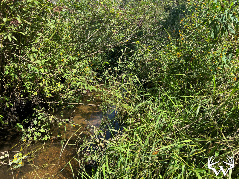 IMG_7856.jpg