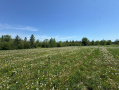 IMG_8249.jpg